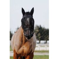 Cabezada + máscara Equithème Negro