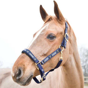 Cabezada Hamptons Horze Azul