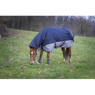 Manta Equi-Theme Tyrex 600 D Combo 200g Manta Equi-Theme Tyrex 600 D Combo 200g