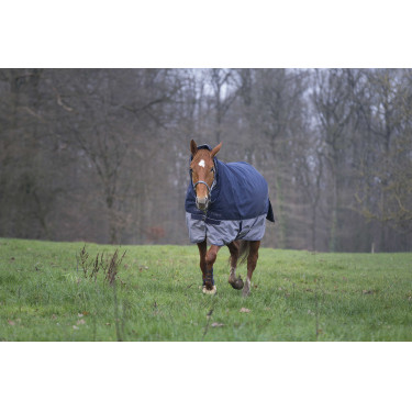 Manta Equi-Theme Tyrex 600 D Combo 200g Manta Equi-Theme Tyrex 600 D Combo 200g