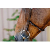 Cabezada de montar NORTON - Freedom Havana Marrón Cabezada de montar NORTON - Freedom Havana Marrón