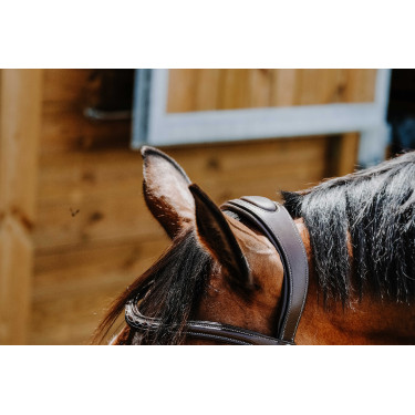 Cabezada de montar NORTON - Freedom Havana Marrón