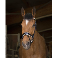 Cabezada de montar Norton Pro Bella Negro