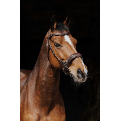 Cabezada de montar NORTON PRO Hackamore Cabezada de montar NORTON PRO Hackamore