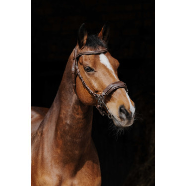 Cabezada de montar NORTON PRO Hackamore Cabezada de montar NORTON PRO Hackamore