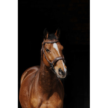 Cabezada de montar NORTON PRO Hackamore Cabezada de montar NORTON PRO Hackamore