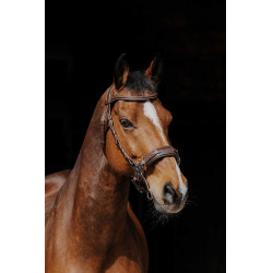 Cabezada de montar NORTON PRO Hackamore Cabezada de montar NORTON PRO Hackamore