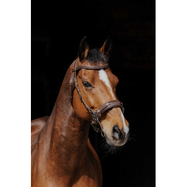 Cabezada de montar NORTON PRO Hackamore Cabezada de montar NORTON PRO Hackamore