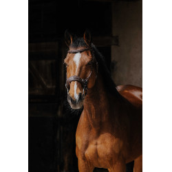 Cabezada de montar NORTON PRO Hackamore Cabezada de montar NORTON PRO Hackamore