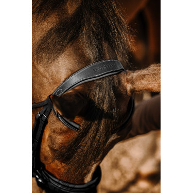 Cabezada de montar ERIC THOMAS Work Negro