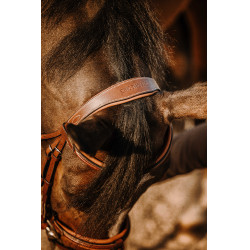 Cabezada de montar ERIC THOMAS Work Havana Marrón