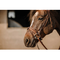 Cabezada de montar ERIC THOMAS Work Havana Marrón