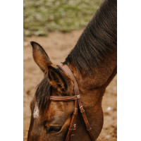 NORTON CLUB Square Cabezada de montar Havana Marrón NORTON CLUB Square Cabezada de montar Havana Marrón