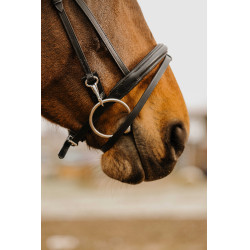 Bridon Norton Club Easy Negro