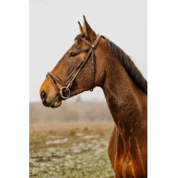 Bridon Norton Club Easy Havana Marrón Bridon Norton Club Easy Havana Marrón