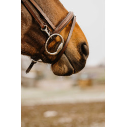 Bridon Norton Club Easy Havana Marrón Bridon Norton Club Easy Havana Marrón