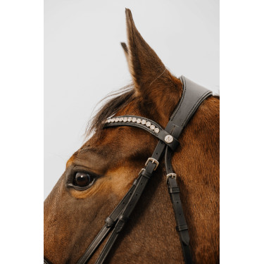 Bridon Norton Club Diva Negro