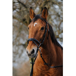 Entrenamiento Bridon Norton Negro