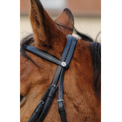 Entrenamiento Bridon Norton Negro