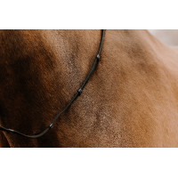 Riendas correas Norton Club Oily Negro