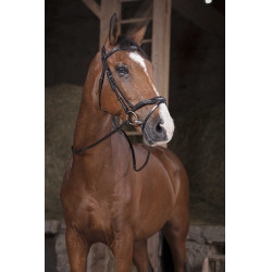 Riendas Norton Pro Supergrip Negro