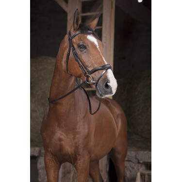 Riendas Norton Pro Supergrip Negro