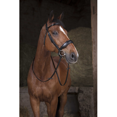 Riendas de red NORTON - 16 mm Negro