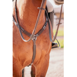 Collar Martin Pénélope Havana Marrón