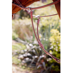 PENELOPE Tijerilla de martingala bip ligera US elástica Avellana Marrón