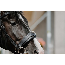 Cavezón ancho Norton Negro Cavezón ancho Norton Negro