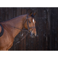 Gogue con poleas Riding World Havana Marrón