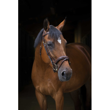 Bridon Eric Thomas Pro Wave Havana Marrón