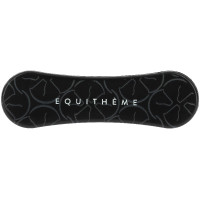 Cepillo para cabeza Equithème Studies Negro