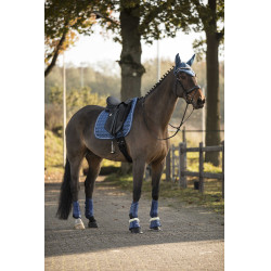 Vliegennetje Lami-Cell LC Azul atolón