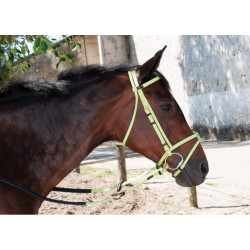 Cabezada Biotack T de T Verde