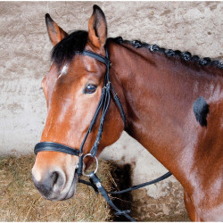 Cabezada Michel Robert muserola alemana T de T Havana oscuro