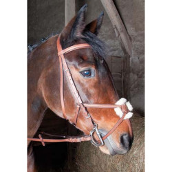 Cabezada Sisley muserola cruz T de T Negro Cabezada Sisley muserola cruz T de T Negro