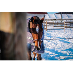 Manta Equithème TYREX 1200D reciclada Gris pardo Marrón