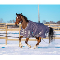 Manta Equithème TYREX 1200D reciclada Gris pardo Marrón Manta Equithème TYREX 1200D reciclada Gris pardo Marrón