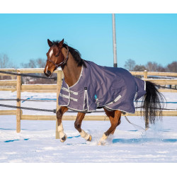 Manta Equithème TYREX 1200D reciclada Gris pardo Marrón