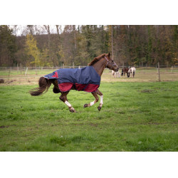 Manta Equi-Theme Tyrex 1200 D Azúl marino / burdeos