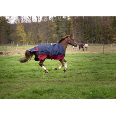 Manta Equi-Theme Tyrex 1200 D Manta Equi-Theme Tyrex 1200 D