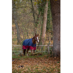 Manta Equi-Theme Tyrex 1200 D Azúl marino / burdeos