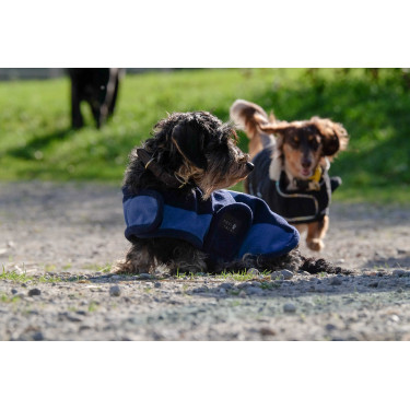 Manta para perro Equithème New Market Manta para perro Equithème New Market