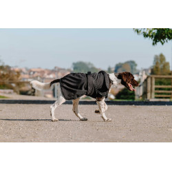 Capa para perro Equithème Softshell Negro