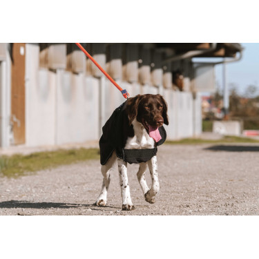 Capa para perro Equithème Softshell Capa para perro Equithème Softshell