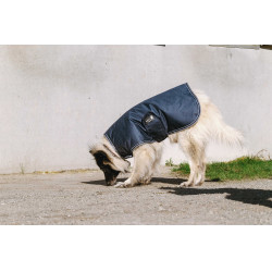 Cubreperro Equithème TYREX 600D Azúl / gris Cubreperro Equithème TYREX 600D Azúl / gris