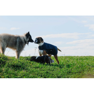 Cubreperro Equithème TYREX 600D Cubreperro Equithème TYREX 600D