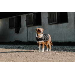 Cobija para perro Te quiero Equithème