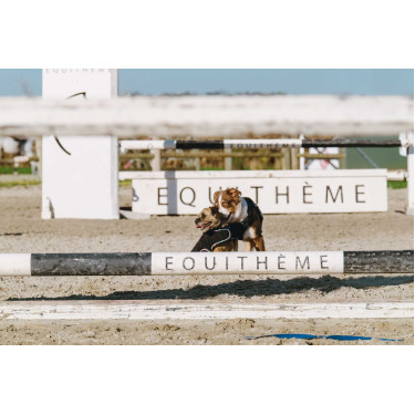 Cobija para perro Te quiero Equithème Cobija para perro Te quiero Equithème
